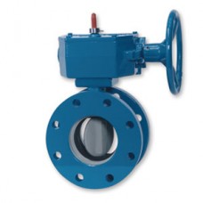 Henry Pratt HP250II Butterfly Valve