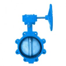 TOZEN LUG TYPE BUTTERFLY VALVE