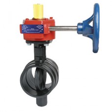 TYCO Model BFV-N Butterfly Valve Grooved End