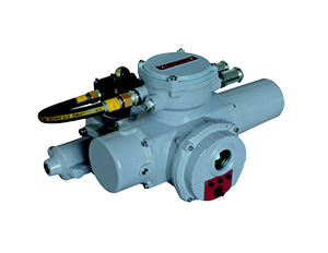 Hydraulic Actuator