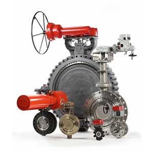 Bray-Triple Offset Butterfly Valve