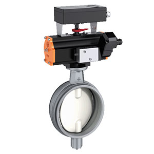 Ebro-CK-M Wafer Type Butterfly Valve