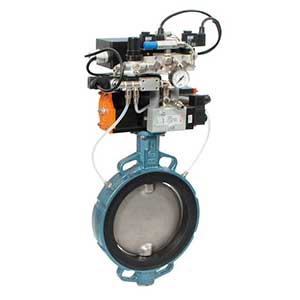 Ebro-Inflatable Seat Inflas Butterfly Valve