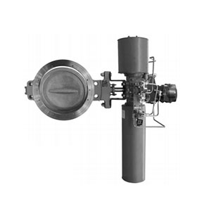 Fisher High Performance Butterfly Valve A31A
