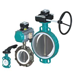 Interapp HIMALIA DN 50-300 Butterfly Valve