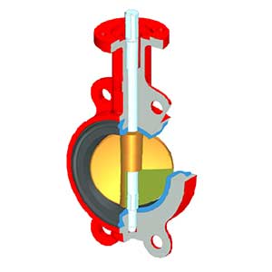 Nakakita Concentric Butterfly Valve