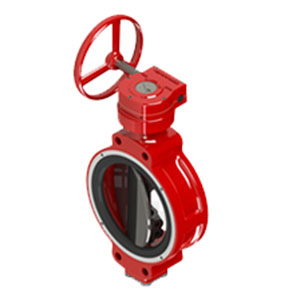 Nakakita PTFE Rubber Seated Butterfly Valve WCTR-55