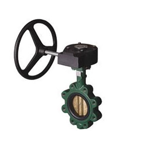 Stockham Resilient Seated Butterfly Valve