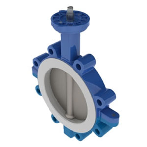 TTV PTFE Double Eccentric Lug Type High Performance Butterfly Valve
