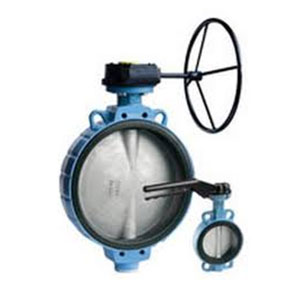 TTV Wafer Butterfly Valve with Gearbox Standard DN40-1400 